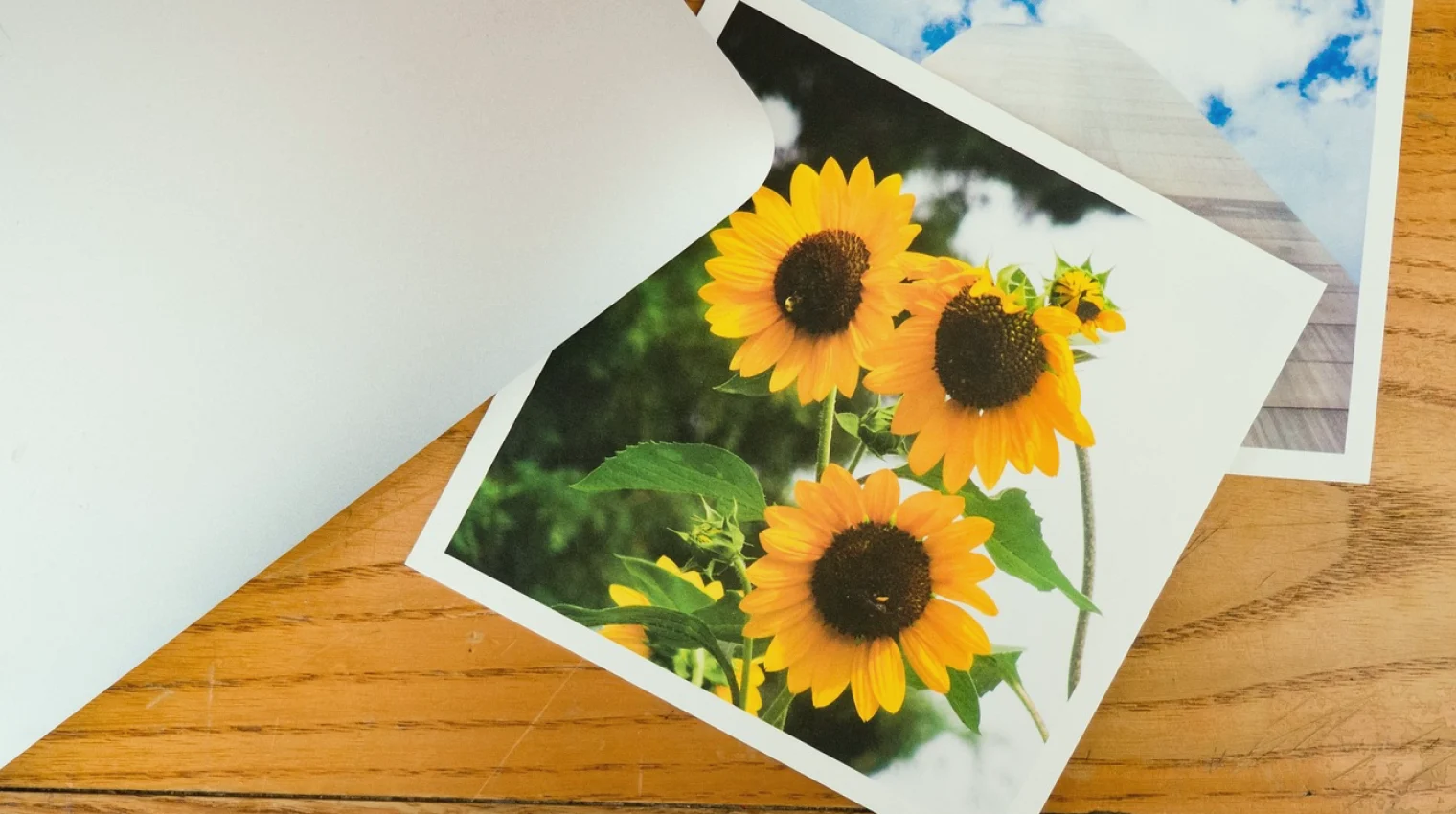 Cuánto cuesta revisar su portafolio fotográfico y qué mueve el precio